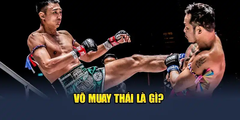 Võ Muay Thái là gì